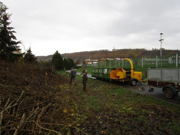 Rizikové kácení a prořez stromů: Praha – Radotín