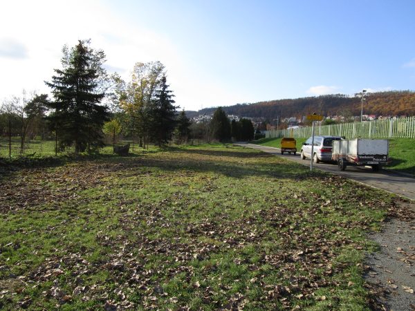 Rizikové kácení a prořez stromů: Praha – Radotín