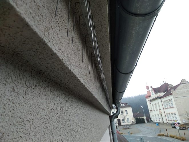 Ochrana proti jiřičkám: Co konečně vyřeší váš problém?